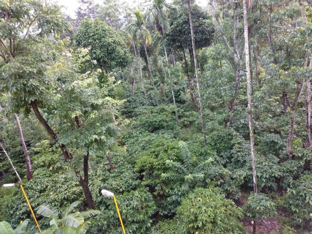 Wanders In Travel Company Hotel Madikeri Luaran gambar